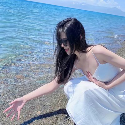 海燕双飞